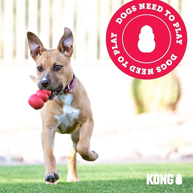 KONG Puppy Goodie Bone - Stuffable Natural Rubber Chew Toy for Small Dogs & Teething Puppies - Pink