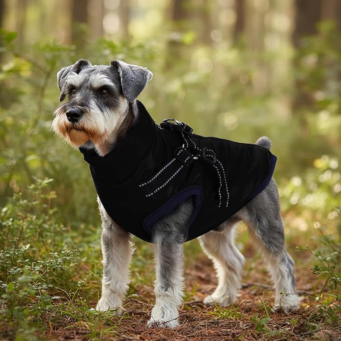 Dog Winter Coat with Harness Winter Jacket for Small Dogs Cold Weather Coats Warm Pet Vest Waterproof Snowsuit (Black, Medium)