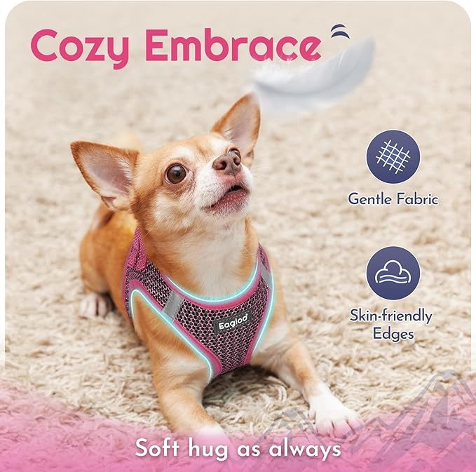Eagloo Small Dog Harness and Leash Set, Step in Puppy Vest with Breathable Soft Mesh, Walking Reflective Pet Harness for Small Dogs, Rose Red, S