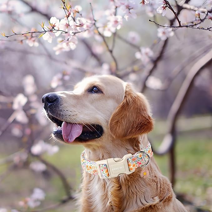 ARING PET Spring Summer Dog Collar-Cute Adjustable Cotton Floral Pet Collars for Puppy Small Medium Large Girl Dogs-M
