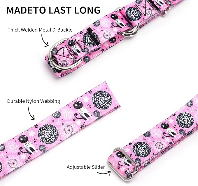Martingale Collar and Leash Set, Premium No Slip Martingale Collar for Dogs Medium Large, Girl Dog Collars Training (NO22, M)