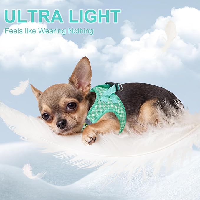 AIITLE No Pull Dog Harness and Leash Set, Step in No Chock Soft Mesh Dog Harnesses Reflective for Extra-Small Puppy Dogs and Cats, Plaid Dog Vest Harness for Pets Turquoise XXS