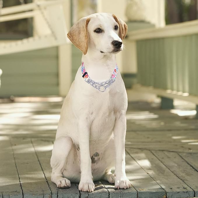 Martingale Dog Collar - Stainless Steel Chain, No Pull Training Collar with Flower Design for Large Medium Small Dogs (S, White)