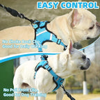 PUPTECK No Pull Dog Harness Small Medium Sized Dog, Adjustable Reflective Escape Proof Easy Control, Comfortable Soft Padded Step in Pet Vest Harness, Blue, M