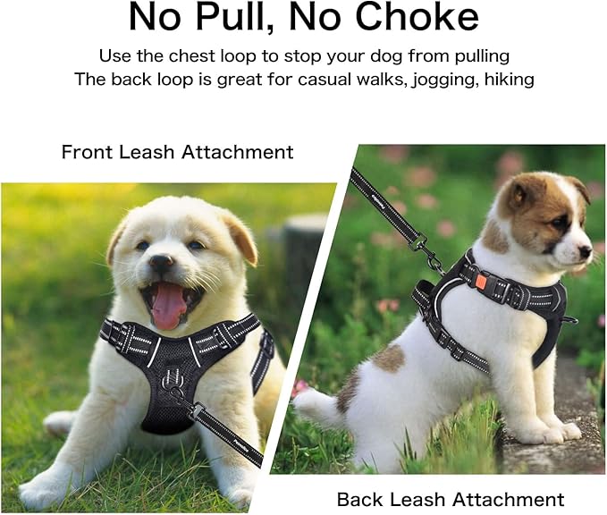 Petmolico No Pull Dog Harness and Leash Set, No Choke 4 Leash Attchments Easy Control Handle Soft Padded Reflective Vest Dog Harness for Medium Dog Breed, Pink Medium