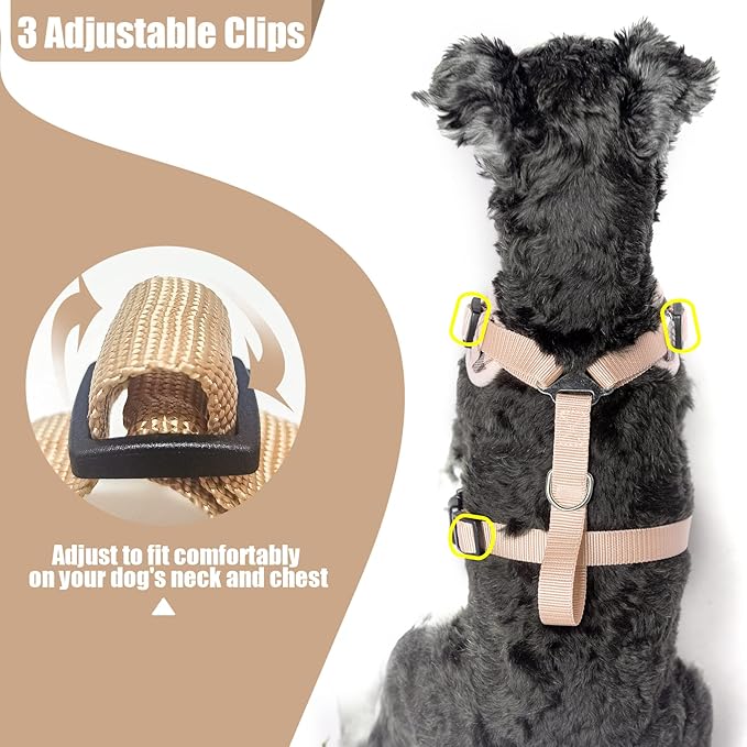 PUPTECK Small Dog Harness and Leash Set, No Pull Adjustable Puppy Cat Harness, Reflective Soft Mesh Pet Vest Small Sized, Beige Plaid, M