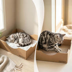 Modular Cardboard Cat Condo System, Bowl-Shaped Cat Bed Module, Foldable Stackable DIY Cat House for Indoor Cats