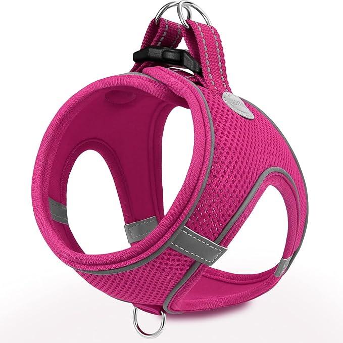 Joytale Small Dog Harness, Breathable Mesh Step-in Vest, Reflective Soft Padded Harnesses Small Sized Dog for Walking, Hot Pink, S