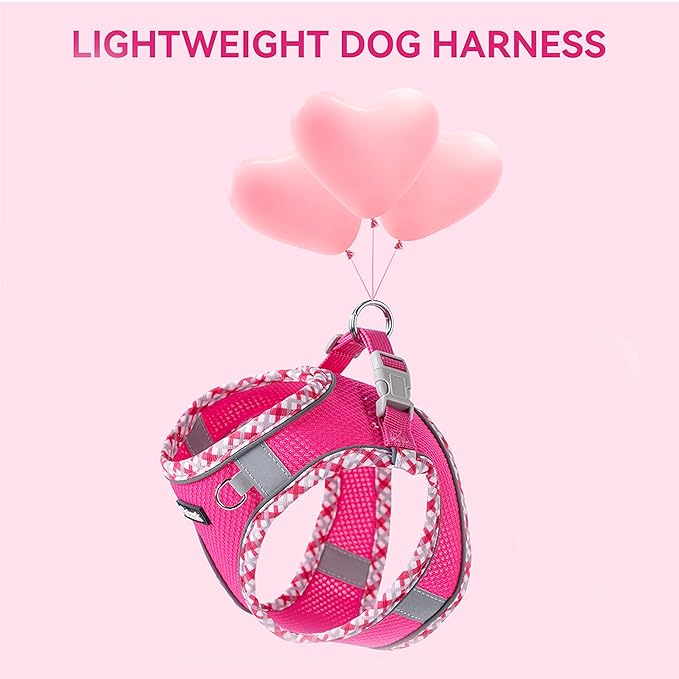Petank Dog Harness for Small Medium Dogs No Pull, Puppy Harness and Leash Set for Walking, Running, Training, Small Dog Harness, Medium Dog Harness (Brown, M)