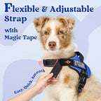 rabbitgoo Dog Harness Medium Sized, No Pull No Choke Pet Vest, Easy Wearing with One Buckle, Reflective, Adjustable Pet Harness with Molle for Walking, Training, Blue, M