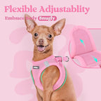 rabbitgoo Small Dog Harness, Step-in Soft Mesh Puppy Vest with Safety Buckle, Breathable Reflective Pet Harness for Extra Small Dogs, Light Pink XXS