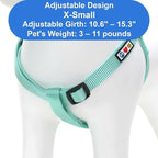 Pawtitas Solid Step-in Dog Harness – Adjustable No-Pull Vest for Puppies to Seniors, Safe & Comfortable XS Teal