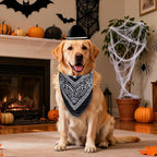choyaxo Dog Cowboy Hat Dog Cowboy Costume for Small Pet Dogs Cat Cowboy Hat with Bandana Scarf Set Party Accessories (Black, Large)