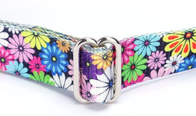 Serijoars Adjustable Martingale Dog Collar Heavy Duty Nylon Dog Collar for Medium Large Dogs Walking Training Boy and Girl Dogs (M, Colourful Daisy)