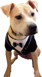 Frenchie Mini Couture Dog Tuxedo, (Medium)
