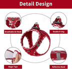 AMTOR Small Dog Harness with Leash Set, No Escape Easy Walk Puppy Harnesses for Training Walking, Step-in Reflective Soft Dogs Vest for XS S Medium Extra-Small Large Sized Dog(XXS Size,Red/White)