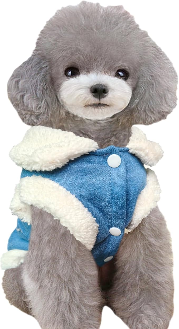 Jecikelon Bowtie Dog Cold Weather Coat Fleece Lining Warm Pet Puppy Turtleneck Dogs Winter Clothes for Small Dogs with D-Ring (Blue, X-Large)