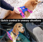 PHOEPET No Pull Dog Harness, Unique Colors Reflective Adjustable Dog Vest, with Soft Training Handle Metal Clips for Small Medium Large Dogs (Royal Blue Base & Pink Straps,L)