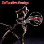 WINSEE Pet Harness Collar and Leash Set, All-in-one Reflective Dog Harness No Pull with Adjustable Buckles for Puppies, Small, Medium, Large, and Extra-Large Dogs (Large, Red)