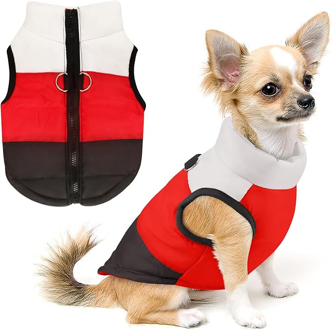 Idepet Pet Dog Cat Coat with Leash Anchor Color Patchwork Padded Puppy Vest Jacket Teddy Chihuahua Costumes Pug Cloth XS S M L (X-Small (Pack of 1), Black)
