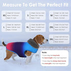 Dog Winter Coat, Waterproof Dog Jacket with Leash Hole, Reflective Adjustable Pet Snow Vest, Warm Fleece Sweater for Small Medium Large Dogs - Gradient Blue, XS
