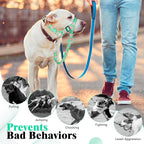 HIGO Dog Head Collar, Adjustable Head Collar for Dogs, No Pulling Head Halter, Training Nose Leash, 3 Pattern Muzzle Leash for Small Medium Large Dogs Easy Walking (Green, XL)