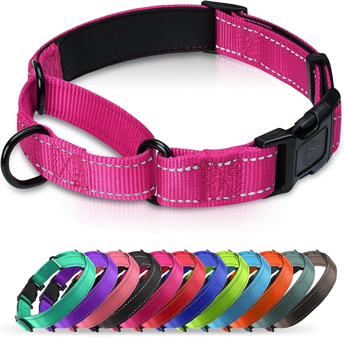 Martingale Collar for Dogs with Quick Release Buckle, Reflective Soft Padded & Escape Proof, Adjustable Nylon Dog Collars for Training & Daily Walking (Hotpink,M)
