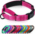Martingale Collar for Dogs with Quick Release Buckle, Reflective Soft Padded & Escape Proof, Adjustable Nylon Dog Collars for Training & Daily Walking (Hotpink,M)