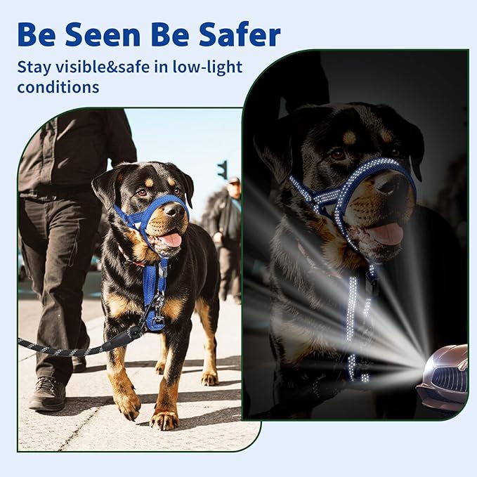 BARKLESS Sturdy No Pull Head Collar for Medium Large Dogs, Gentle Reflective Head Halter with Safety Link, Adjustable Nylon Dog Training Muzzle Leash for Walking Control (Blue, M)