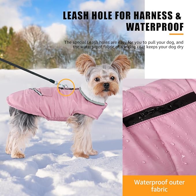 iBuddy Dog Winter Coat for Extra Small Dogs, Easy on XS Dog Snow Jacket Velcro Waterproof Pet Puffer Clothes with Harness Hole Adjustable Reflective Quilted Dog Cold Weather Vest for Girl 8-12 Pounds