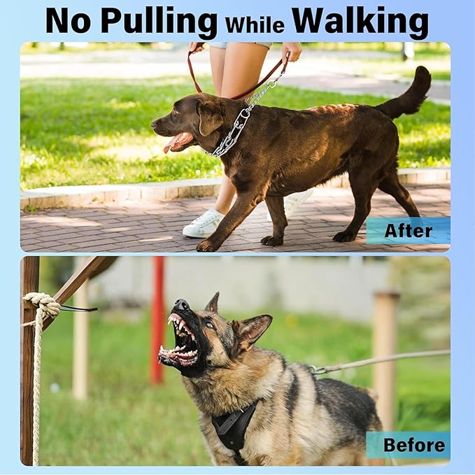 Dog Collar, Adjustable Stainless Steel Collar with Quick Release Buckle for Small Medium Large Dogs (M&L/Neck Girth 14.5"-18.6")