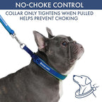Spark Paws Martingale Dog Collar – Cushioned Slip-On Training Collar, Heavy Duty, Safety-Tested No-Buckle Collar for Medium & Large Dogs - Lime Wave - B