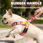 PUPTECK No Pull Dog Harness Small Sized Dog, Adjustable Reflective Pet Vest Harness with Bungee Handle, Escape Proof No Choke Harness for Small Dogs Walking Training, Fuschia Daisy S