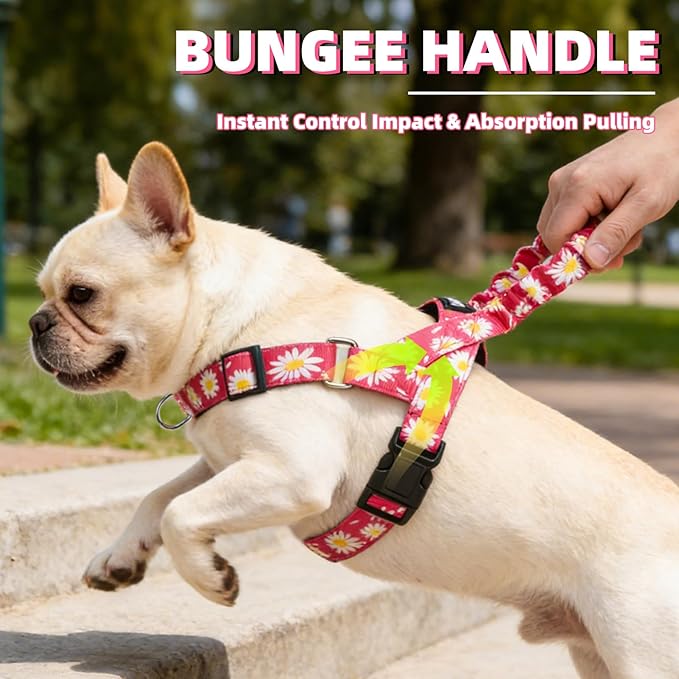 PUPTECK No Pull Dog Harness Small Sized Dog, Adjustable Reflective Pet Vest Harness with Bungee Handle, Escape Proof No Choke Harness for Small Dogs Walking Training, Fuschia Daisy S