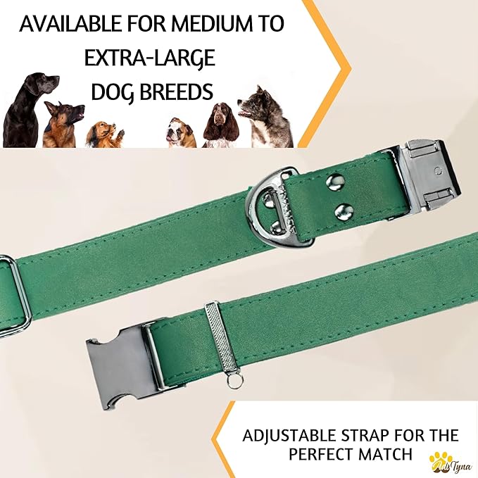 ADITYNA Leather Dog Collar with Metal Buckle - Heavy-Duty, Adjustable for Large & Extra Large Dogs - Walking & Training (Green, Fits 19-30" Necks)