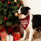 Christmas Dog Bandanas Naughty & Nice Idea Funny Holiday Stocking Pet Scarf Gifts - Too Cute for the Naughty List, Red Plaid, Medium & Large Breed, 25-75lbs