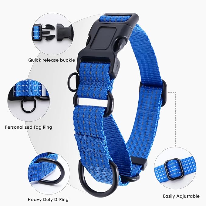 Martingale Collar for Dogs, Adjustable Soft Nylon Dog Collars with Special Design Cute Patterns (Blue, S (1" x 12"-15.8"))