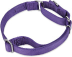 Hyhug Martingale Collar for Dogs Small Purple |Escape - Proof Heavy Duty Nylon Durable No Buckle, Ideal for Training & Daily Walks