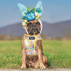PUPTECK Dog Harness and Leash Set for Small Medium Dogs No Pull Step-in Soft Mesh Puppy Cat Vest Harnesses Reflective at Night, Easter Light Yellow, S