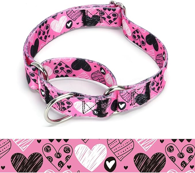 Martingale Dog Collars - Flower Multicolor Cute Patterns, Adjustable Nylon Training Dog Collar Suitable for Boy and Girl Dogs Medium Large Dogs (16, L)