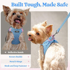 rabbitgoo Dog Harness Small Medium Sized and Leash Set, Step in Soft Light Puppy Vest, Breathable Mesh Pet Harness, Reflective for Safe Easy Walking, Blue & Plaid Trim L