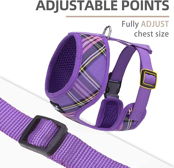 PUPTECK Soft Mesh Dog Harness and Leash Set Pet Puppy Cat Comfort Padded Vest No Pull Harnesses, Purple, XS