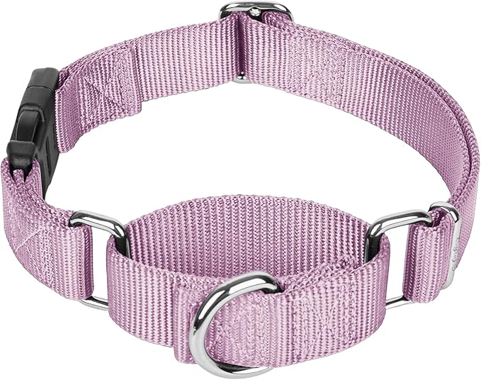 Martingale Collar for Dogs with Quick Release Buckle, Heavy-Duty Solid Color Nylon Training Collars - Adjustable No-Slip Design for Medium & Large Dog