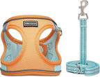 Mercano Soft Mesh Dog Harness and Leash Set, No-Chock Step-in Reflective Breathable Lightweight Easy Walk Vest Harnesses with Safety Buckle for Small Dogs, Cats (XXS, Orange Blue)