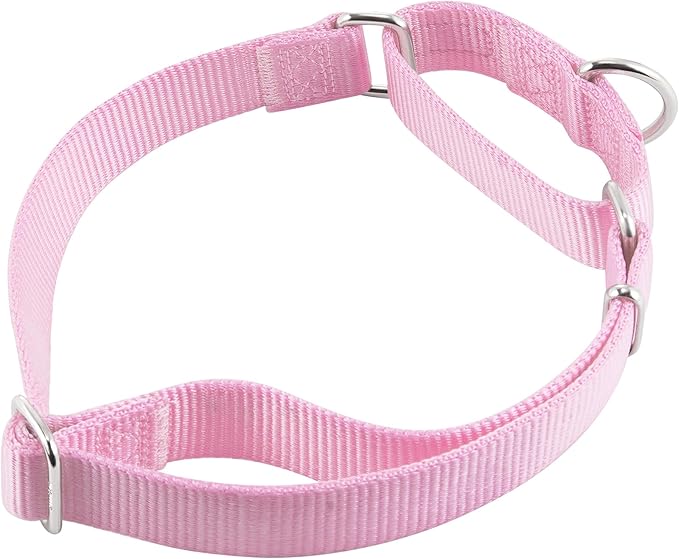 Hyhug Martingale Collar for Dogs Large Pink |Escape - Proof Heavy Duty Nylon Durable No Pull, Ideal for Training & Daily Walks
