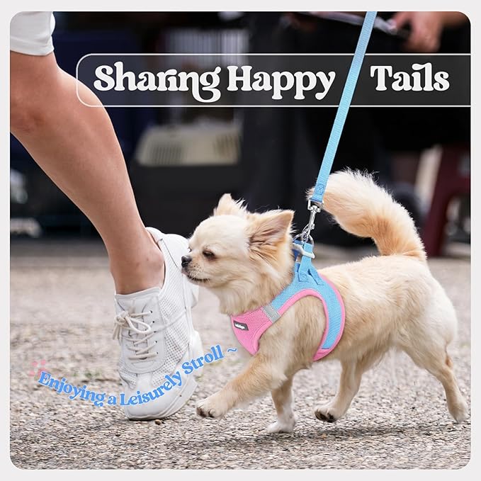 rabbitgoo Dog Harness Small Sized and Leash Set, Step in Soft Light Puppy Vest, Breathable Mesh Pet Harness, Reflective for Safe Easy Walking, Blue & Light Pink M