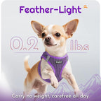 Eagloo Small Dog Harness and Leash Set, Step in Puppy Vest with Breathable Soft Mesh, Walking Reflective Pet Harness for Small Dogs, Purple, XS