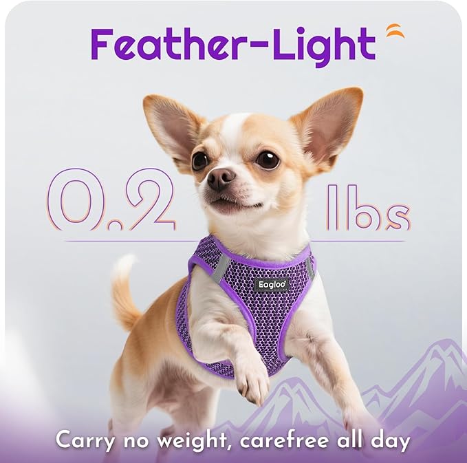Eagloo Small Dog Harness and Leash Set, Step in Puppy Vest with Breathable Soft Mesh, Walking Reflective Pet Harness for Small Dogs, Purple, M
