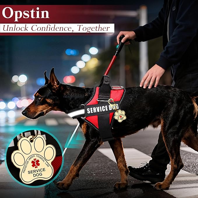 Service Dog Vest, ID Tag + 50 ADA Information Cards, Service Dog Harness w Patch in Sizes XX Small to XXX Large, Ruggedized Metal Tag, Service Animal Information Cards, ESA Accessory Set XXX-Large