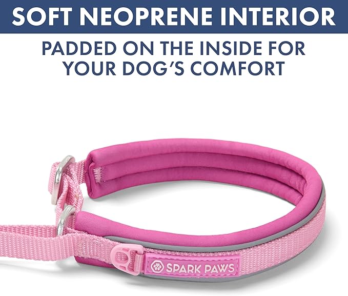 Spark Paws Martingale Dog Collar – Cushioned Slip-On Training Collar, Heavy Duty, Safety-Tested No-Buckle Collar for Medium & Large Dogs - Pink - C